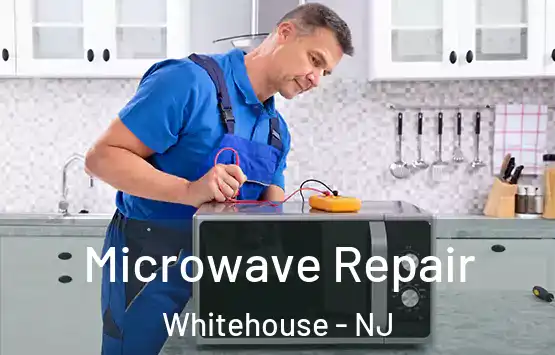  Microwave Repair Whitehouse - NJ