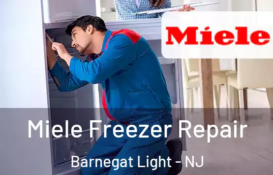  Miele Freezer Repair Barnegat Light - NJ