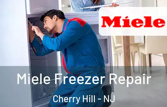  Miele Freezer Repair Cherry Hill - NJ