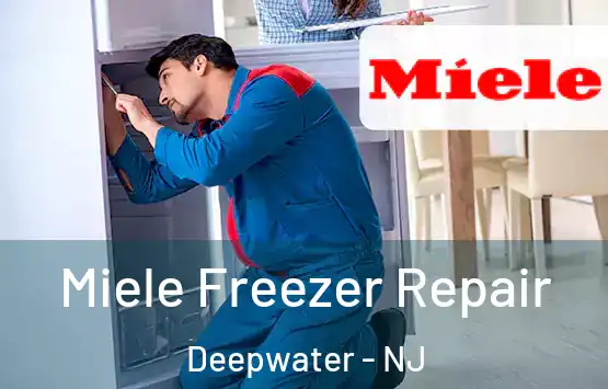  Miele Freezer Repair Deepwater - NJ