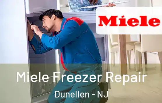  Miele Freezer Repair Dunellen - NJ