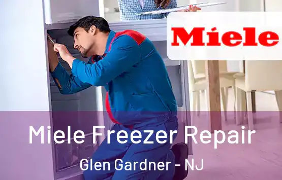  Miele Freezer Repair Glen Gardner - NJ