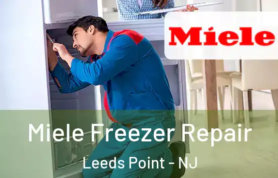  Miele Freezer Repair Leeds Point - NJ