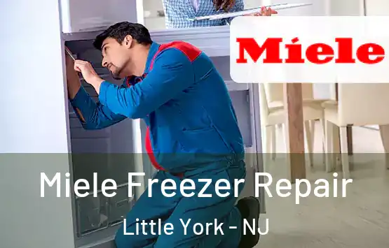  Miele Freezer Repair Little York - NJ