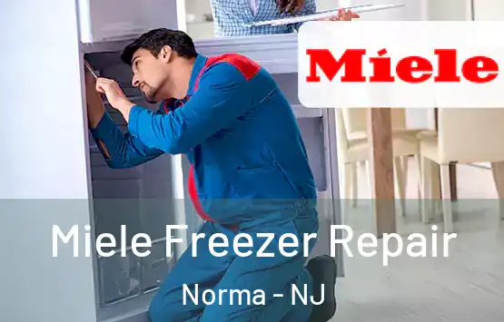  Miele Freezer Repair Norma - NJ