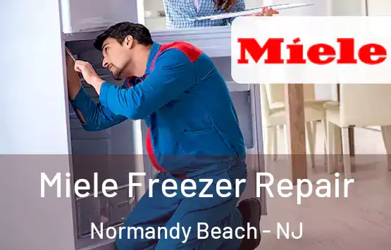  Miele Freezer Repair Normandy Beach - NJ
