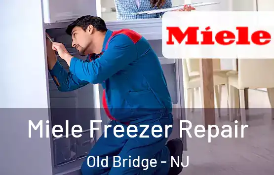  Miele Freezer Repair Old Bridge - NJ