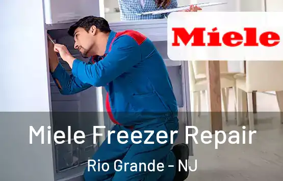  Miele Freezer Repair Rio Grande - NJ