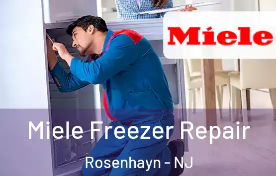  Miele Freezer Repair Rosenhayn - NJ