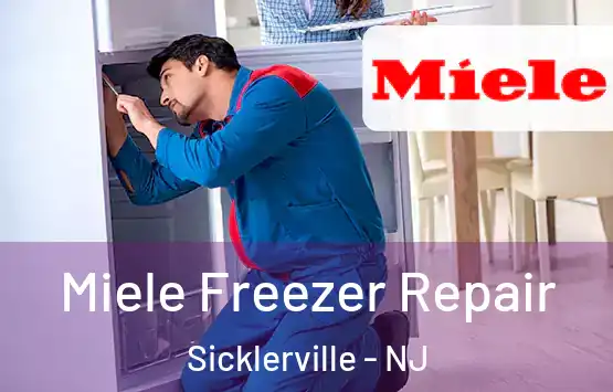  Miele Freezer Repair Sicklerville - NJ