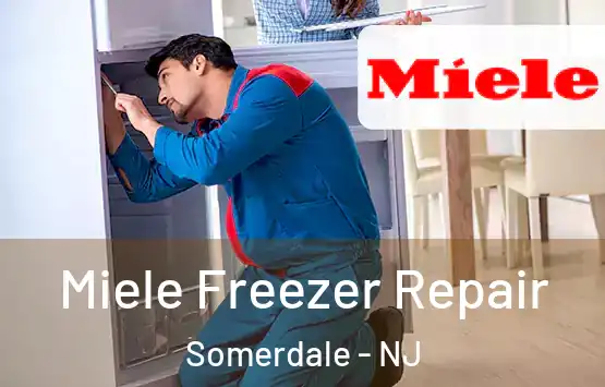  Miele Freezer Repair Somerdale - NJ