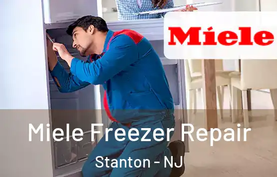  Miele Freezer Repair Stanton - NJ