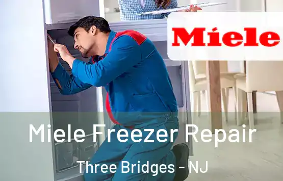  Miele Freezer Repair Three Bridges - NJ