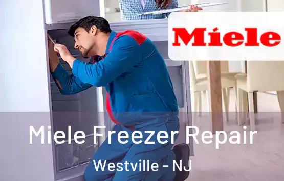  Miele Freezer Repair Westville - NJ