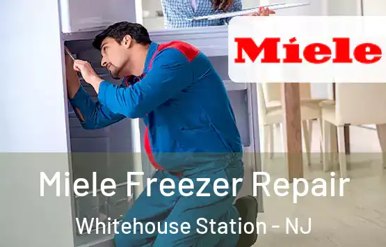  Miele Freezer Repair Whitehouse Station - NJ