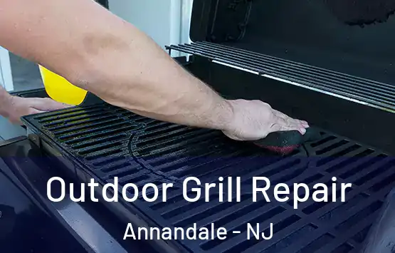  Outdoor Grill Repair Annandale - NJ