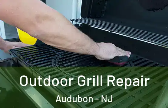  Outdoor Grill Repair Audubon - NJ