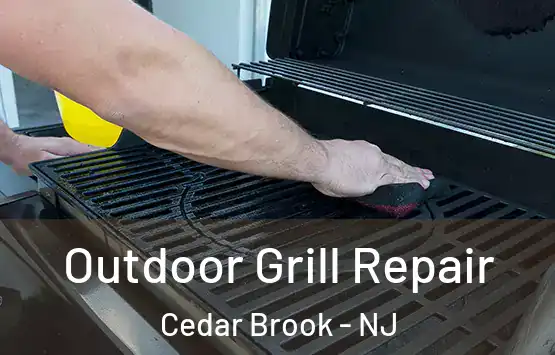  Outdoor Grill Repair Cedar Brook - NJ