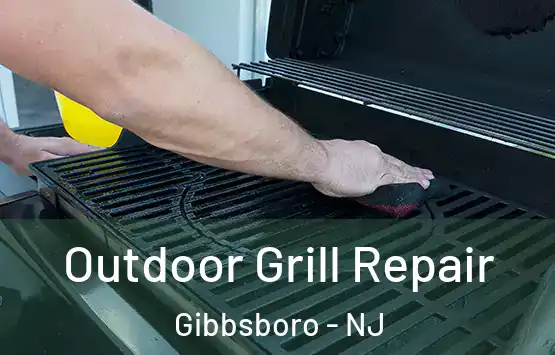  Outdoor Grill Repair Gibbsboro - NJ