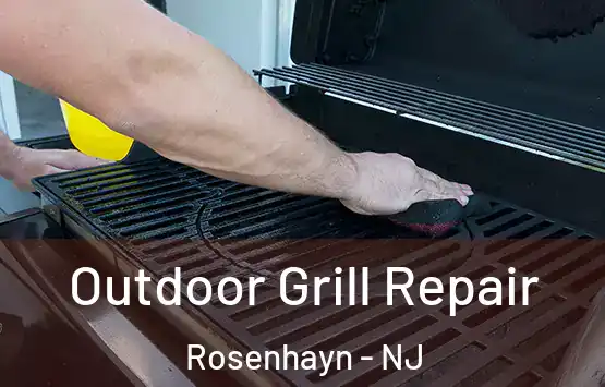  Outdoor Grill Repair Rosenhayn - NJ