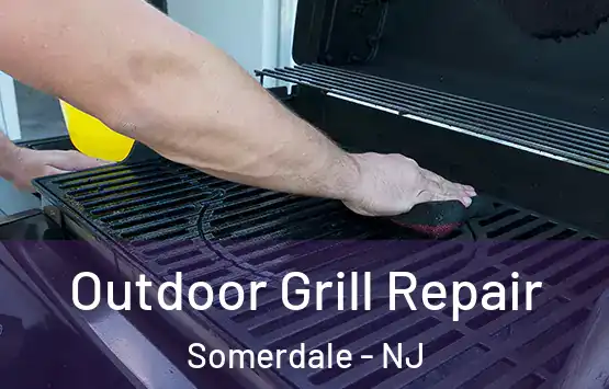  Outdoor Grill Repair Somerdale - NJ