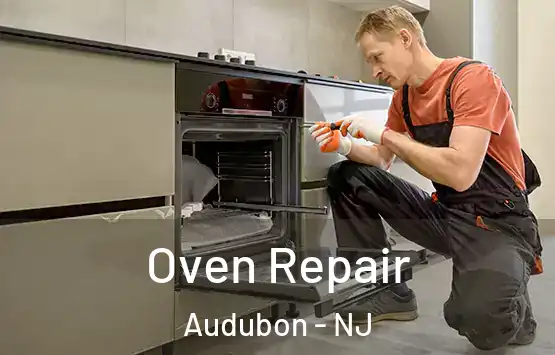  Oven Repair Audubon - NJ