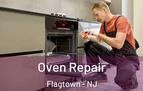  Oven Repair Flagtown - NJ