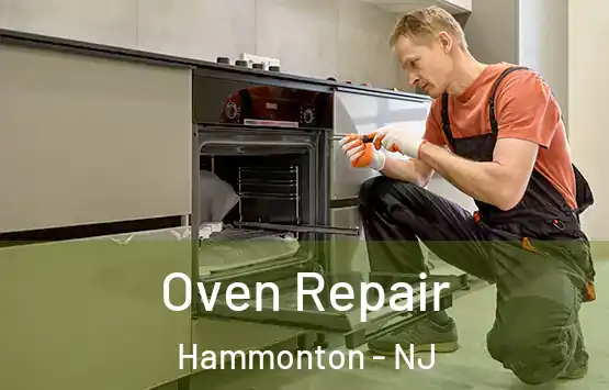  Oven Repair Hammonton - NJ