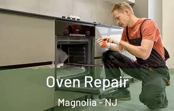  Oven Repair Magnolia - NJ