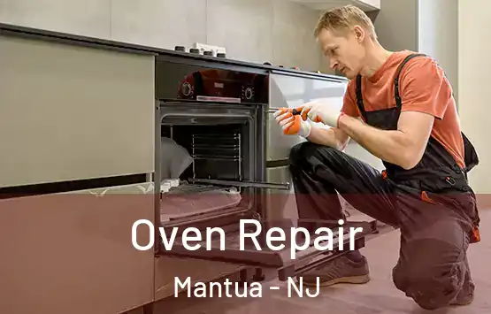  Oven Repair Mantua - NJ