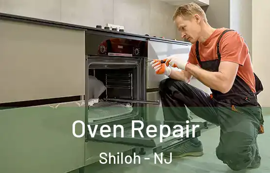  Oven Repair Shiloh - NJ