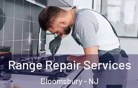  Range Repair Services Bloomsbury - NJ