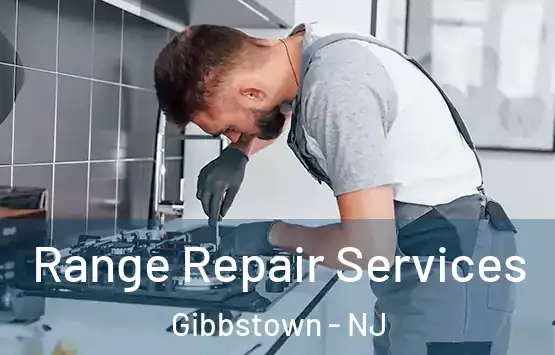  Range Repair Services Gibbstown - NJ