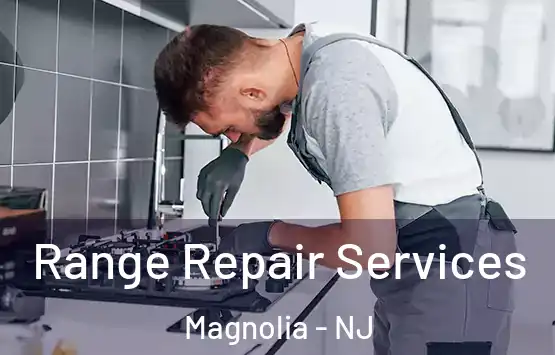  Range Repair Services Magnolia - NJ