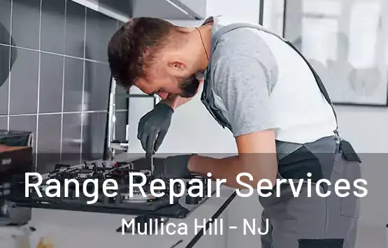  Range Repair Services Mullica Hill - NJ