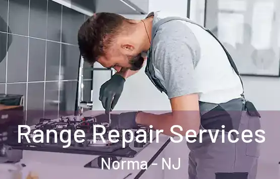  Range Repair Services Norma - NJ