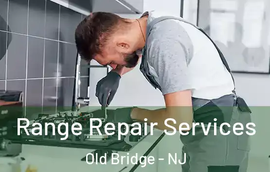  Range Repair Services Old Bridge - NJ