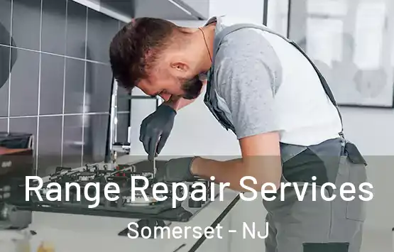  Range Repair Services Somerset - NJ