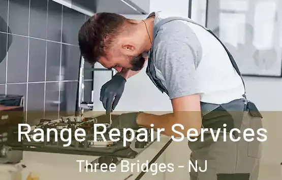  Range Repair Services Three Bridges - NJ