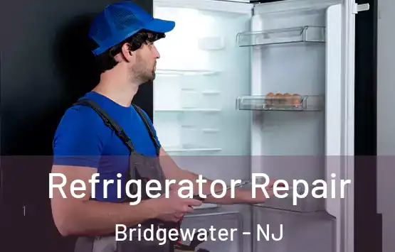  Refrigerator Repair Bridgewater - NJ