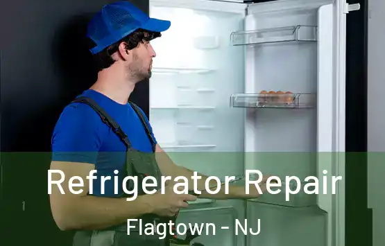 Refrigerator Repair Flagtown - NJ
