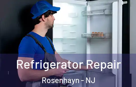  Refrigerator Repair Rosenhayn - NJ