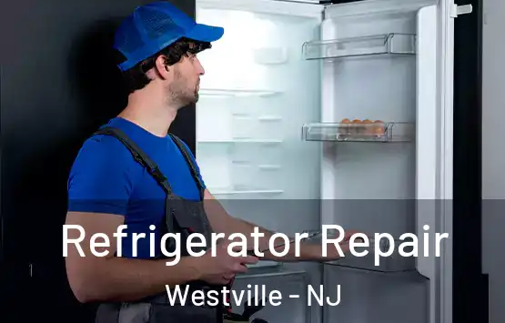  Refrigerator Repair Westville - NJ