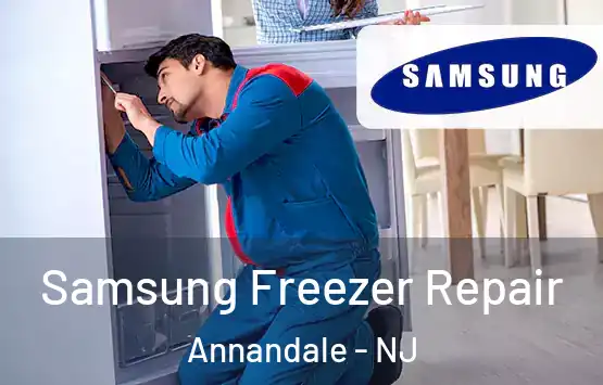  Samsung Freezer Repair Annandale - NJ