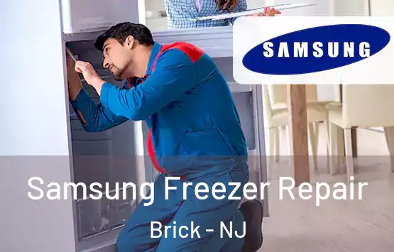  Samsung Freezer Repair Brick - NJ