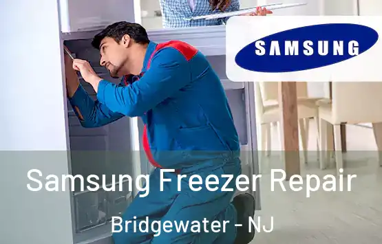  Samsung Freezer Repair Bridgewater - NJ