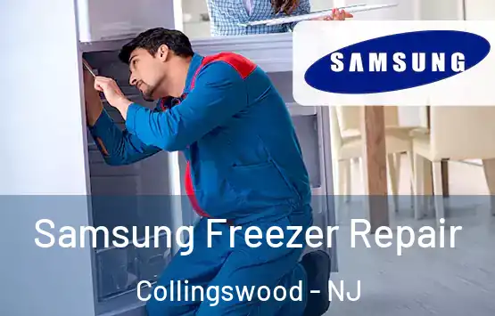  Samsung Freezer Repair Collingswood - NJ