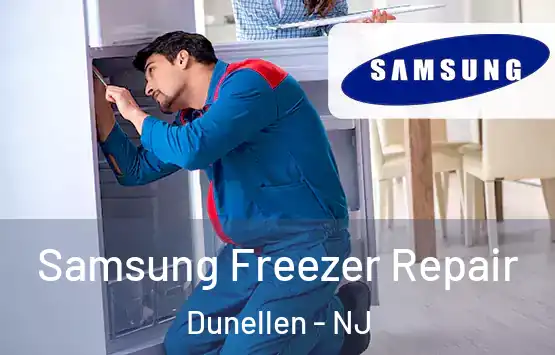  Samsung Freezer Repair Dunellen - NJ