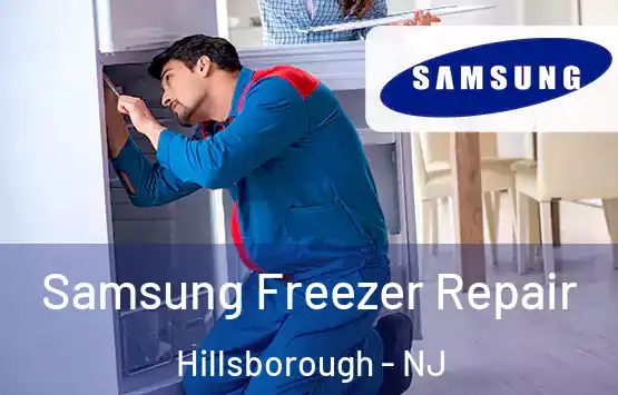 Samsung Freezer Repair Hillsborough - NJ