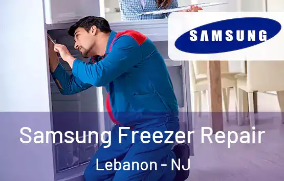  Samsung Freezer Repair Lebanon - NJ